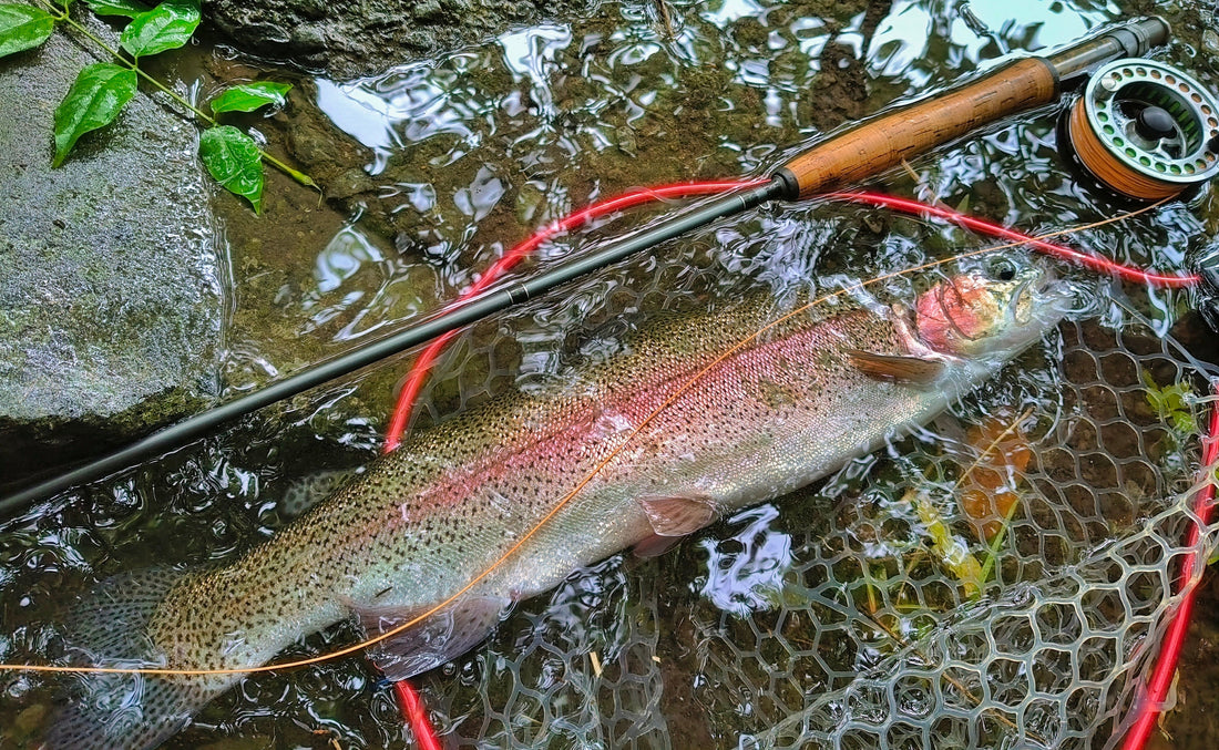 An unforgettable fly fishing trip in Japan