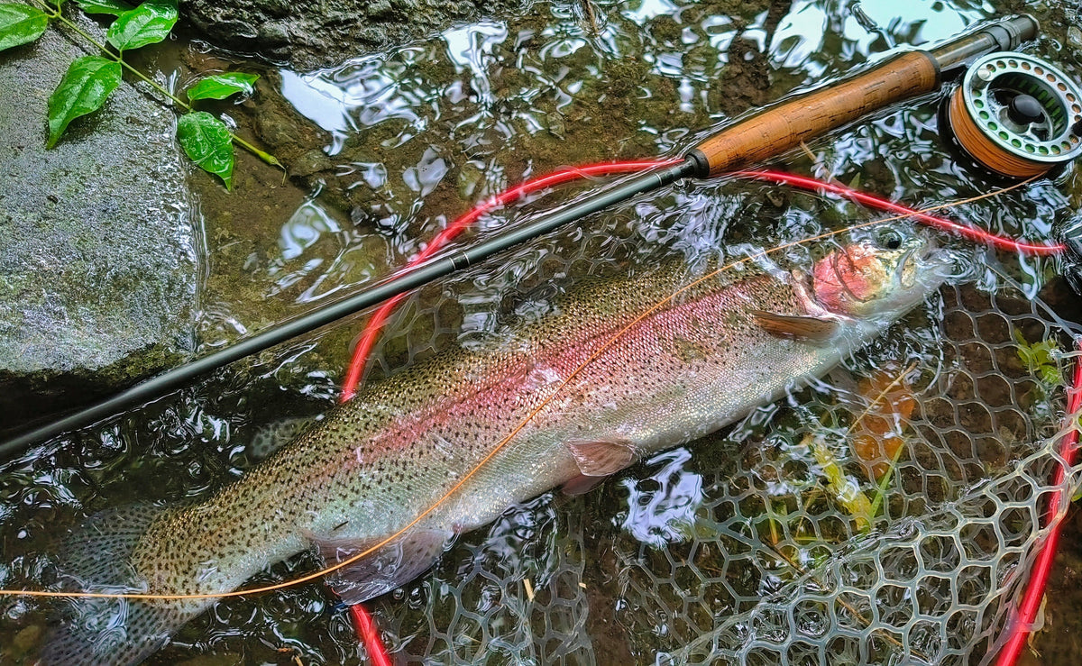 An unforgettable fly fishing trip in Japan