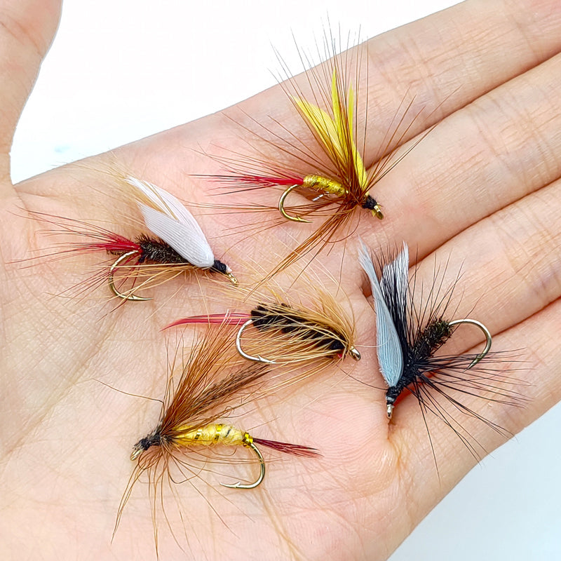 Trout & Bass Fly Fishing Lures Set 10 Piece Wet Fly (Artificial Baits)