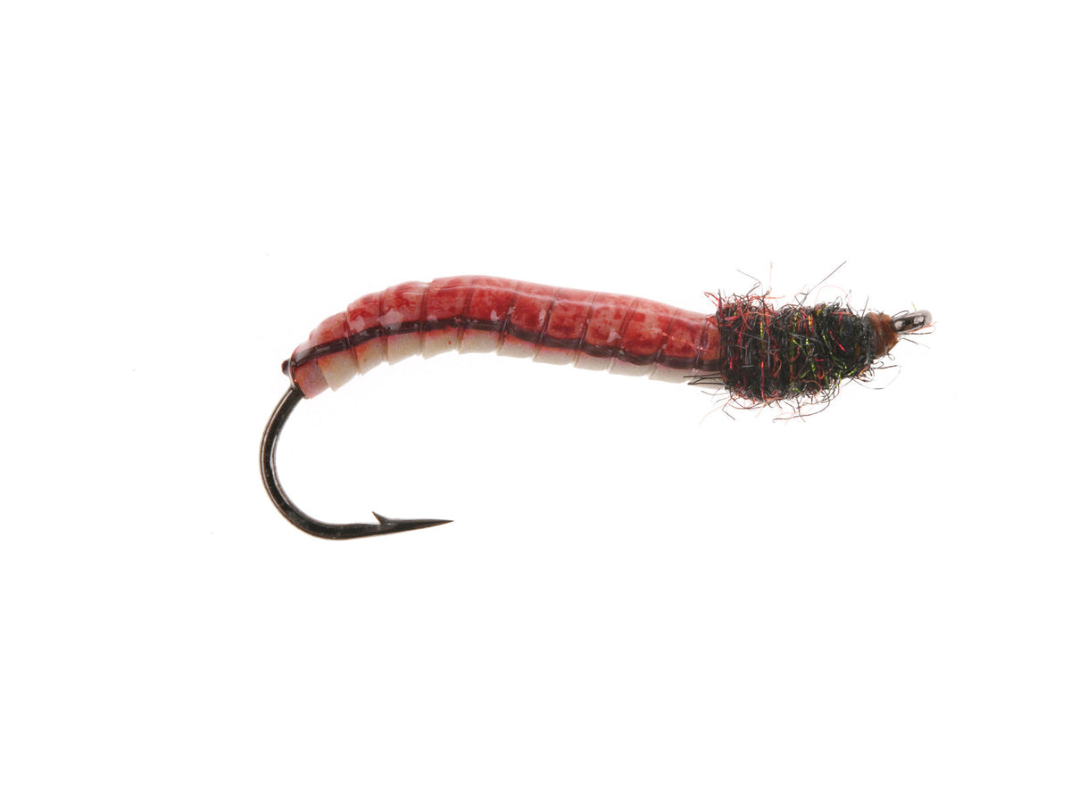 Product photo of the Caddis Larva, WIFREO style LY068A