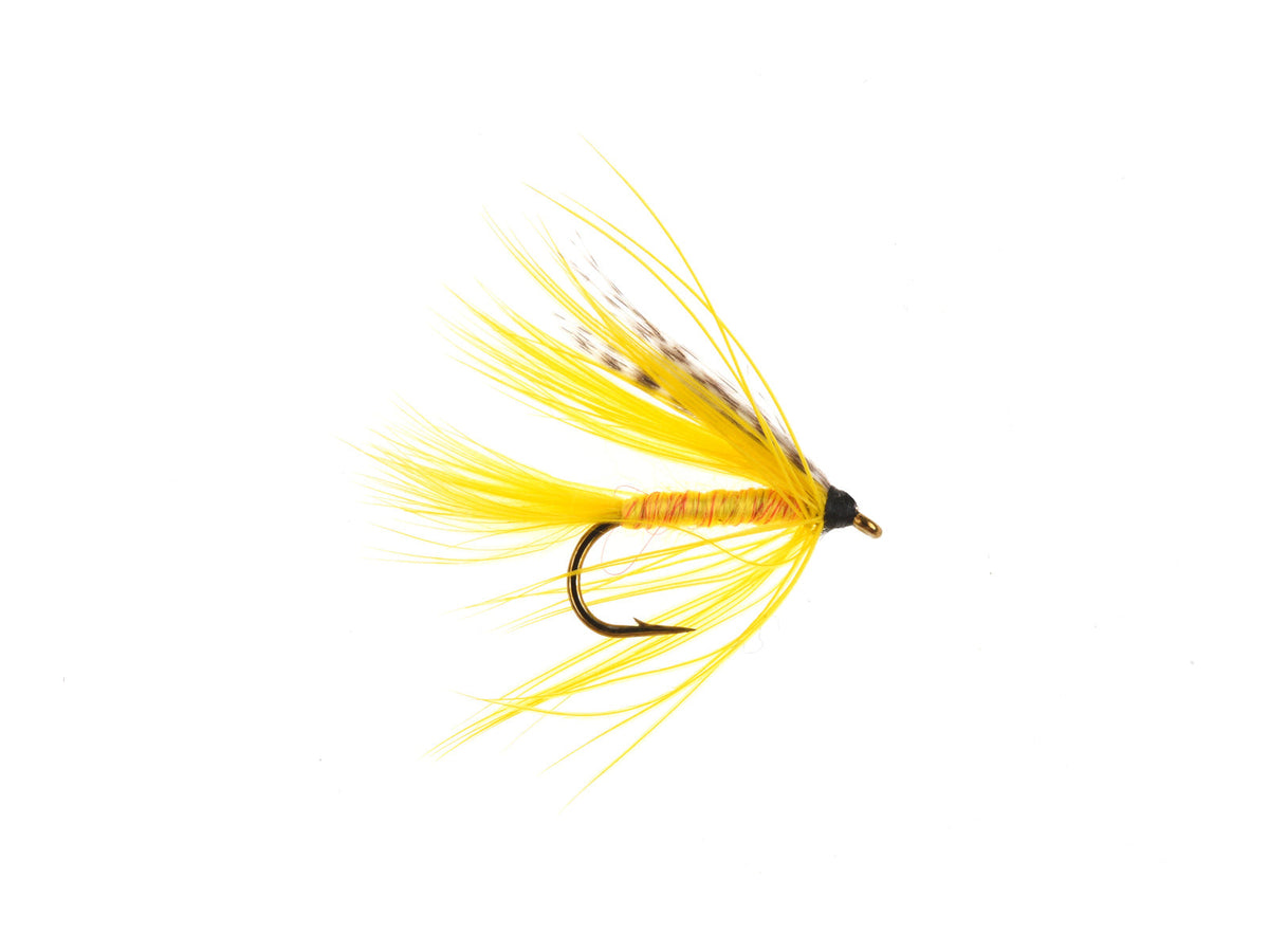Product photo of the Sulfur Wet Fly, WIFREO style WT763