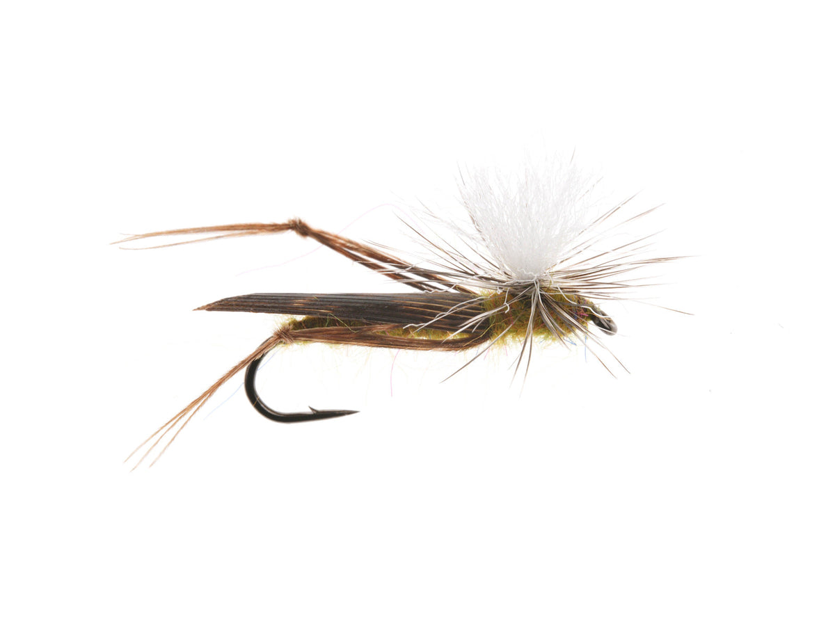 Product photo of the Brown-Leg Parachute Hopper, WIFREO style WY1091