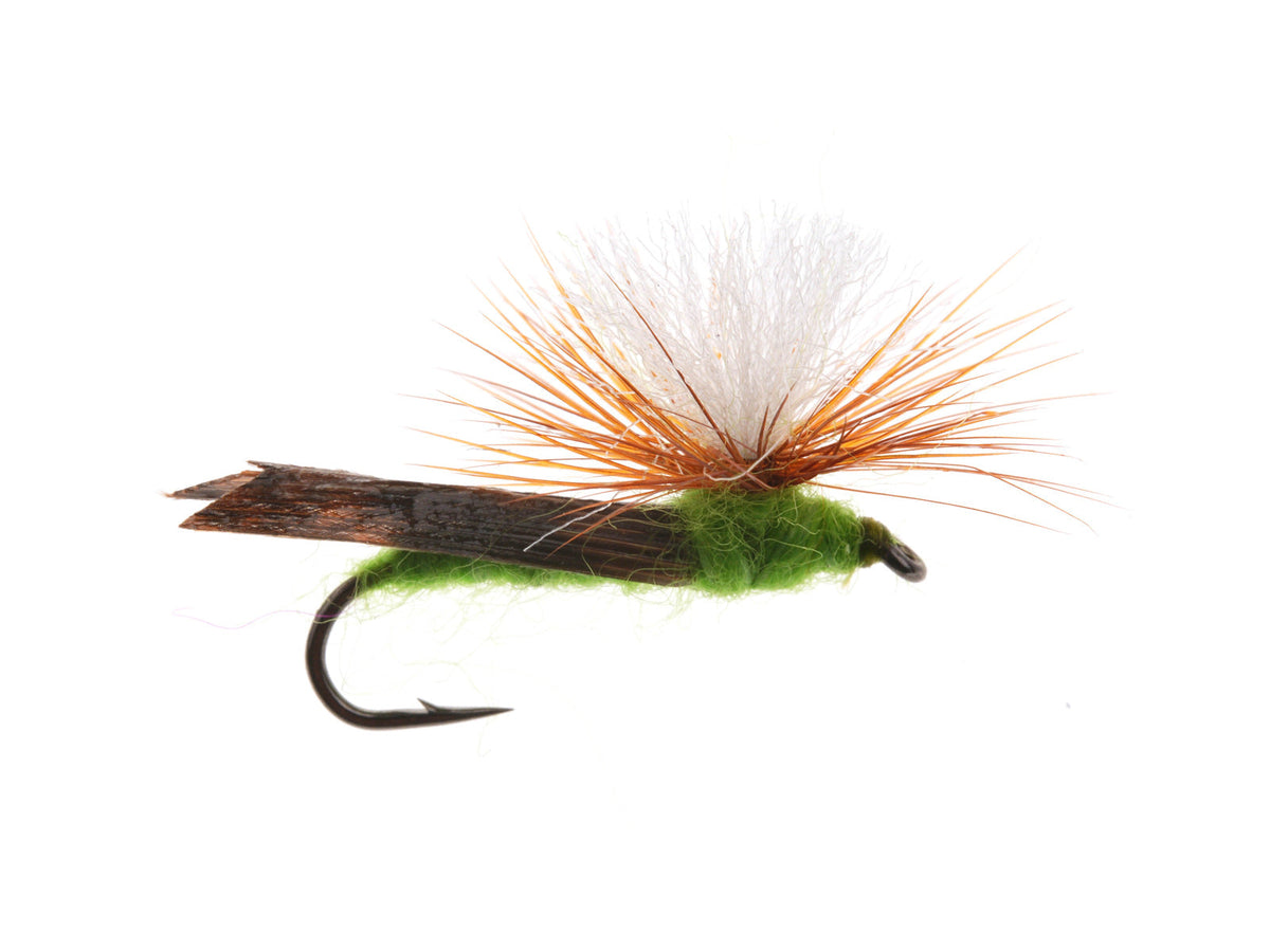 Product photo of the Parachute Caddis Dry Fly, WIFREO style WY1092
