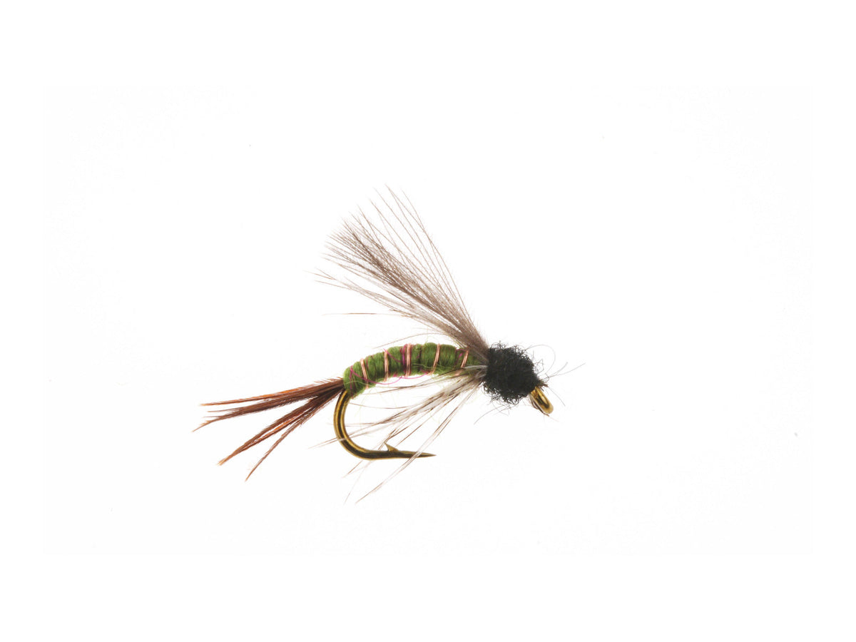 Product photo of the CDC Blue-Winged Olive Emerger, WIFREO style WY1108