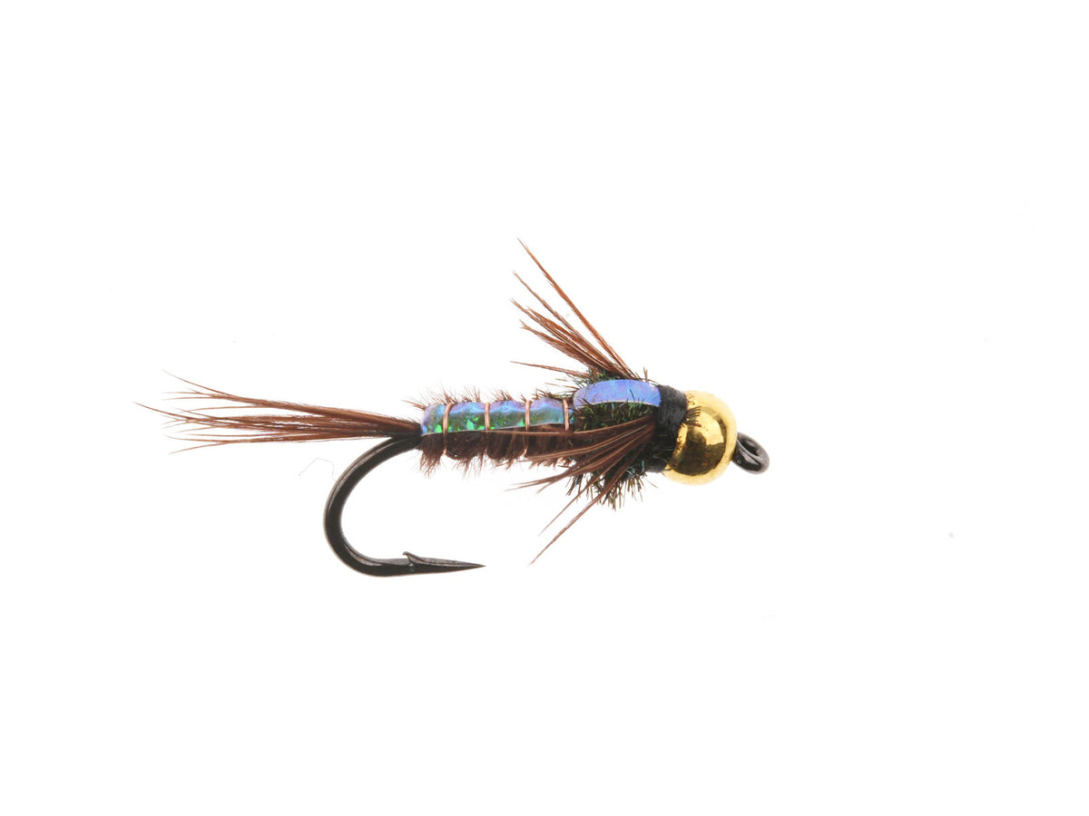 Product photo of the Flashback Pheasant Tail Nymph – Brass Bead, WIFREO style WY1111