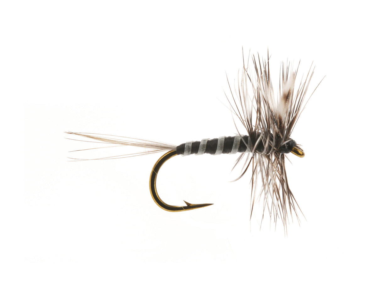 Product photo of the Mosquito Dry Fly, WIFREO style WY1112