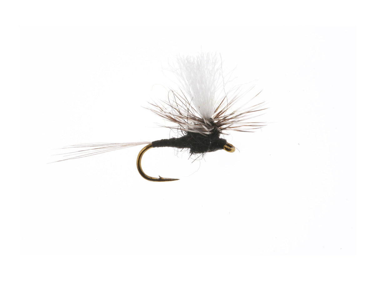 Product photo of the Parachute Trico Dry Fly, WIFREO style WY1115