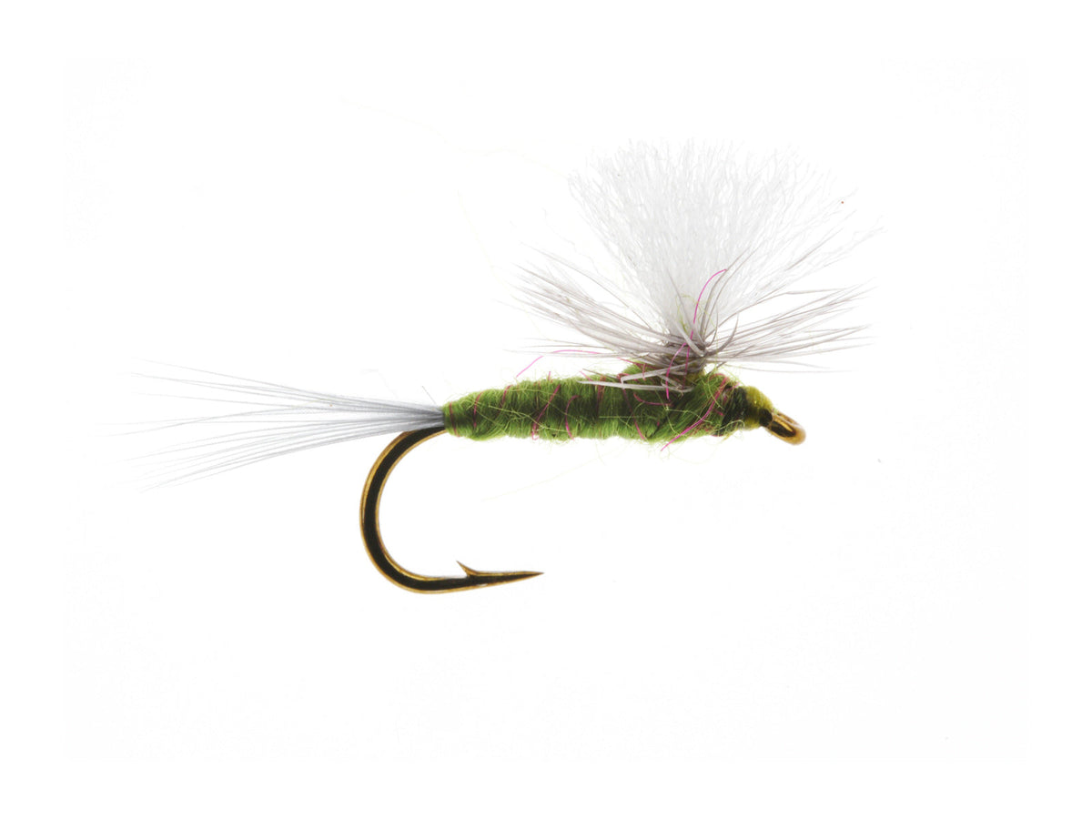 Product photo of the Parachute BWO Dry Fly, WIFREO style WY1116