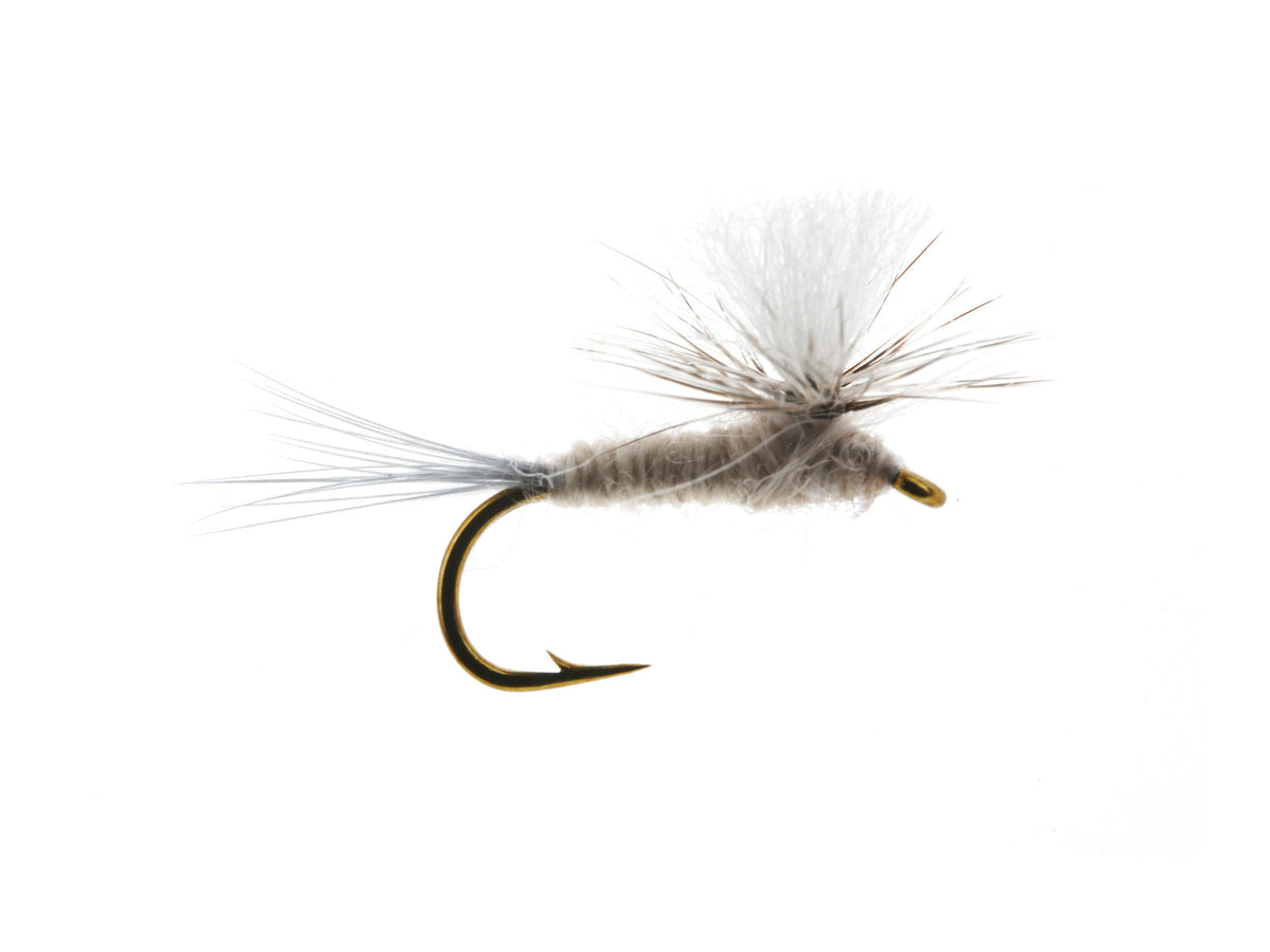 Product photo of the Parachute Light Cahill Dry Fly, WIFREO style WY1117