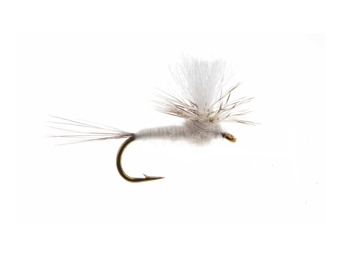 Product photo of the Parachute Whitefly Dry Fly, WIFREO style WY1118
