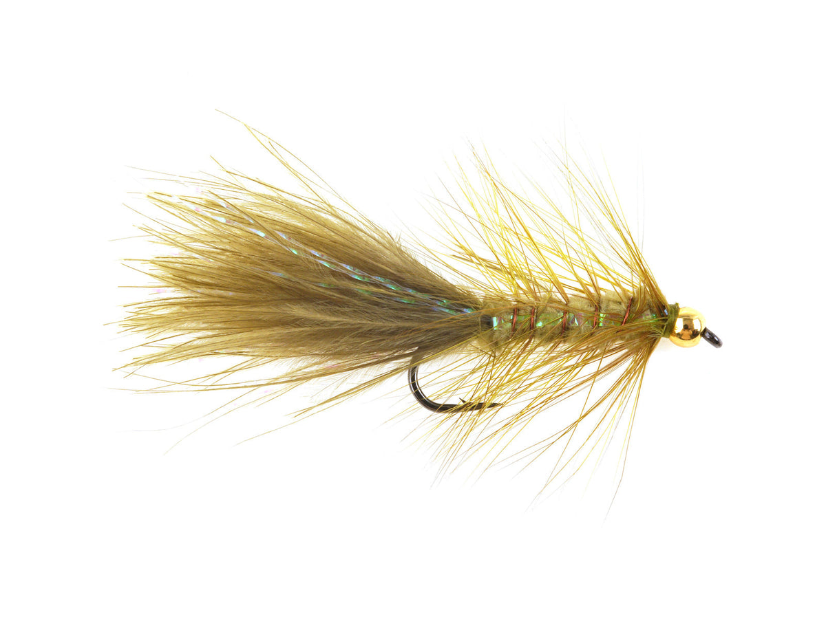 Product photo of the Olive Brass Bead Woolly Bugger, WIFREO style WY267B