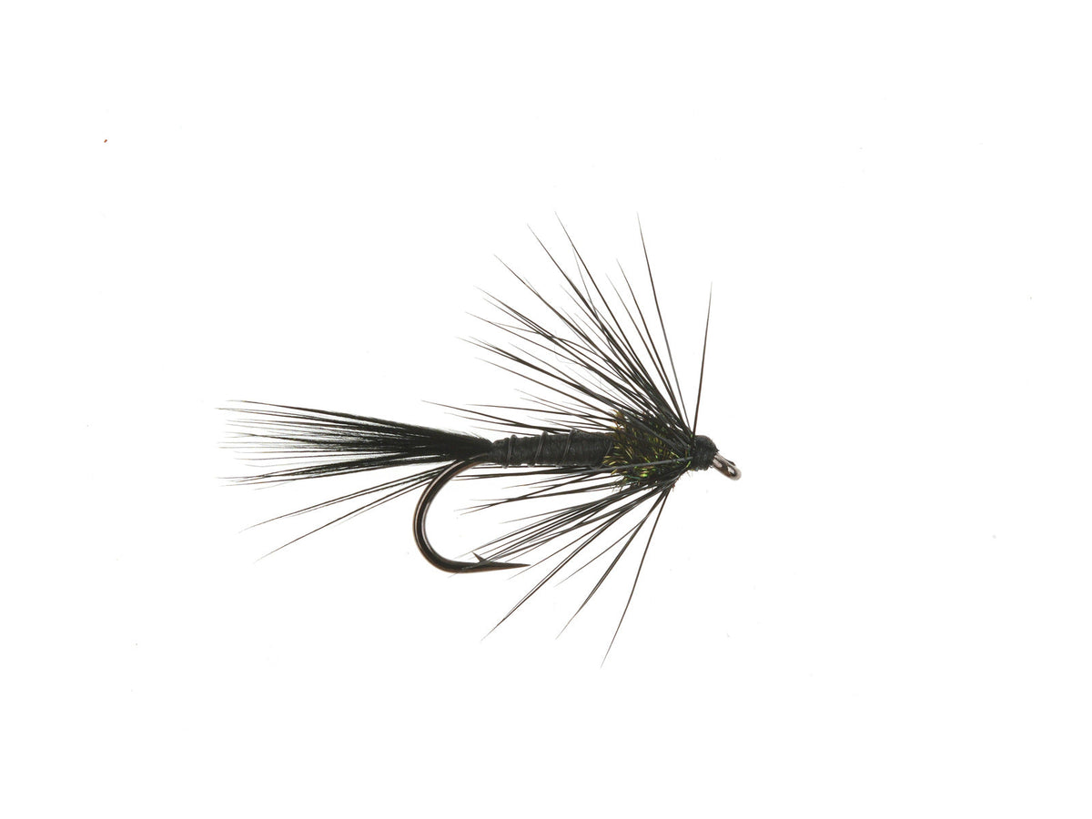 Product photo of the Black Magic Wet Fly, WIFREO style WY831