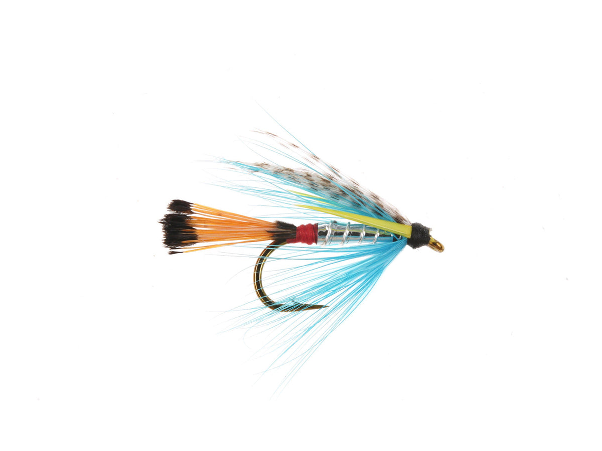 Product photo of the Peter Ross Wet Fly, WIFREO style WY834