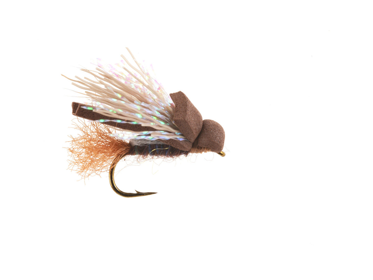 Product photo of the Brown Foam Cicada Dry Fly, WIFREO style WY871