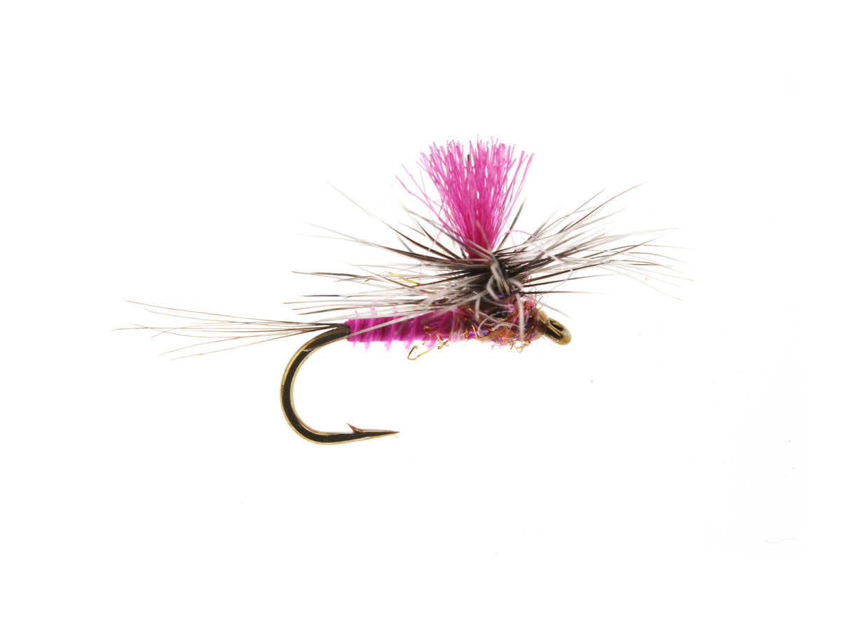 Product photo of the Parachute Pink Albert Dry Fly, WIFREO style XY018