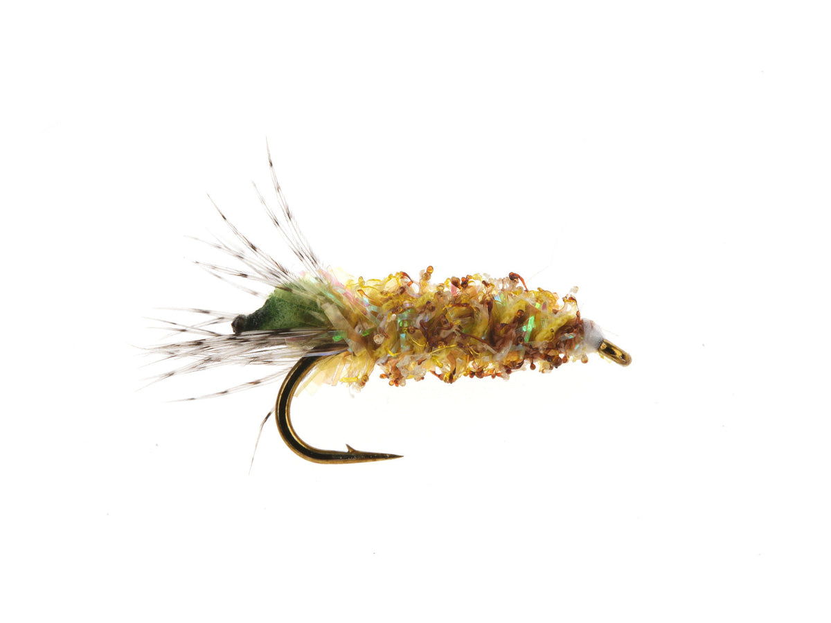 Peeping Caddis - Green