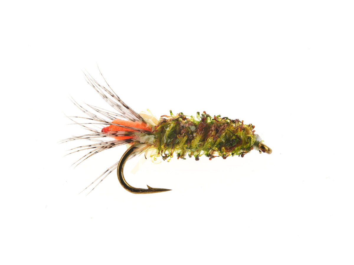 Peeping Caddis - Orange