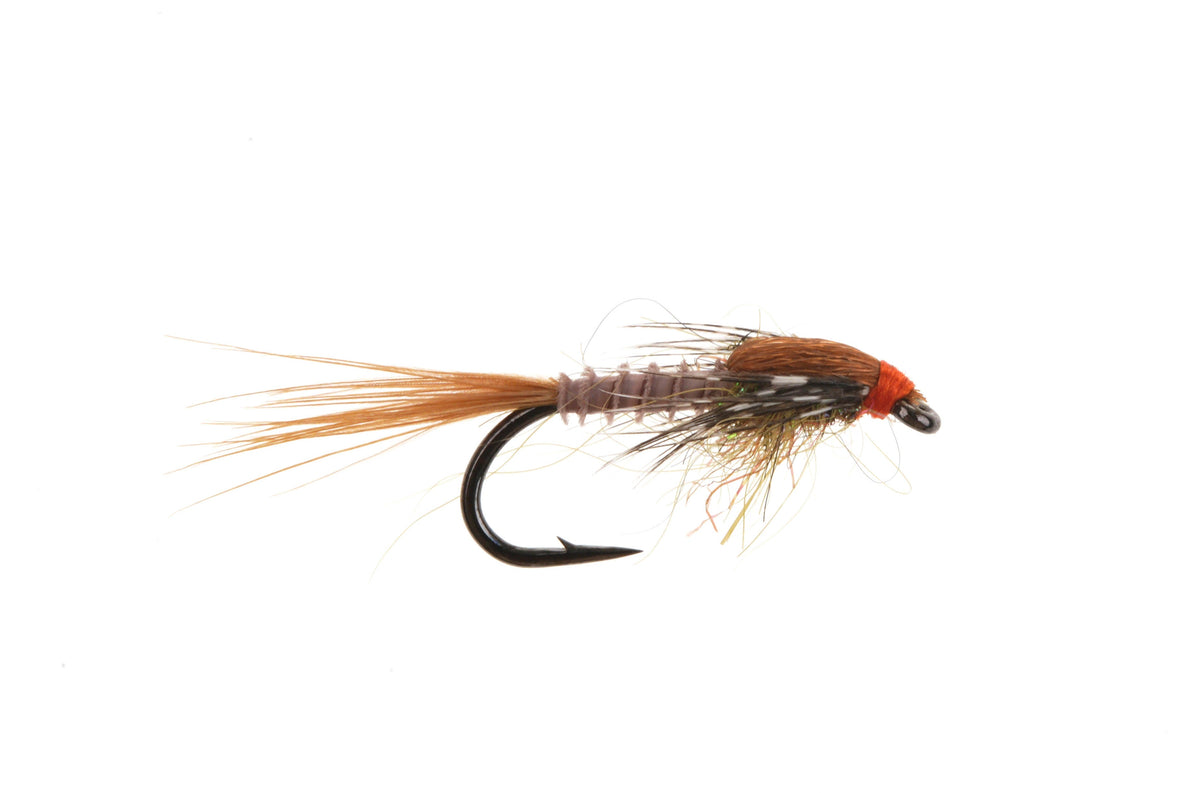 Studio product image of the March Brown, WIFREO style XY051