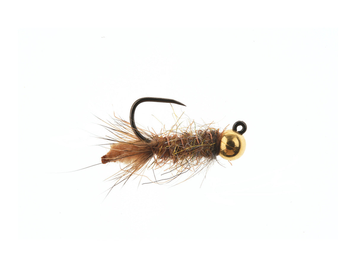 Jig Peeping Caddis Tungsten Bead - Cream Head / Gold BH