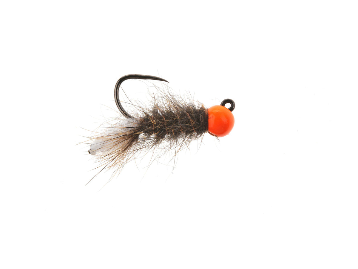 Jig Peeping Caddis Tungsten Bead - White Head / Orange