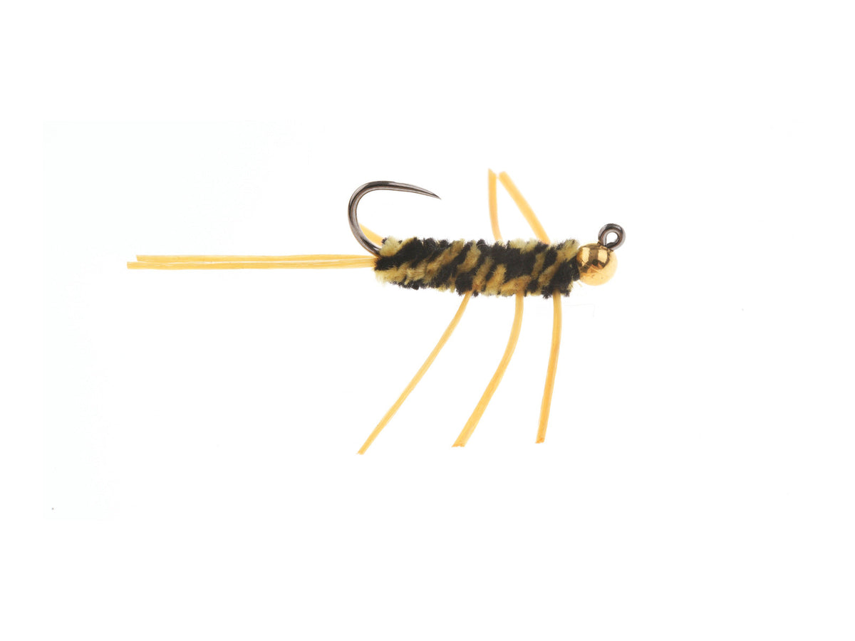 XY088A Golden