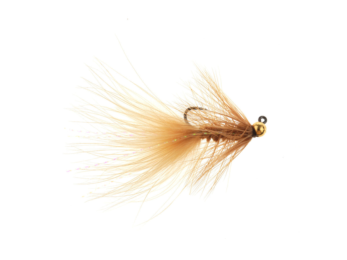 XY113C Brown