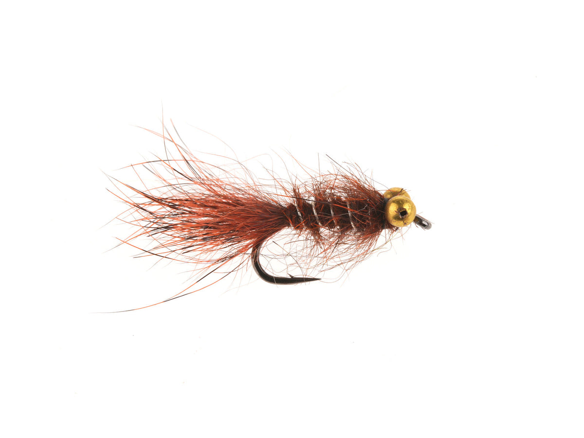 XY114A Orange