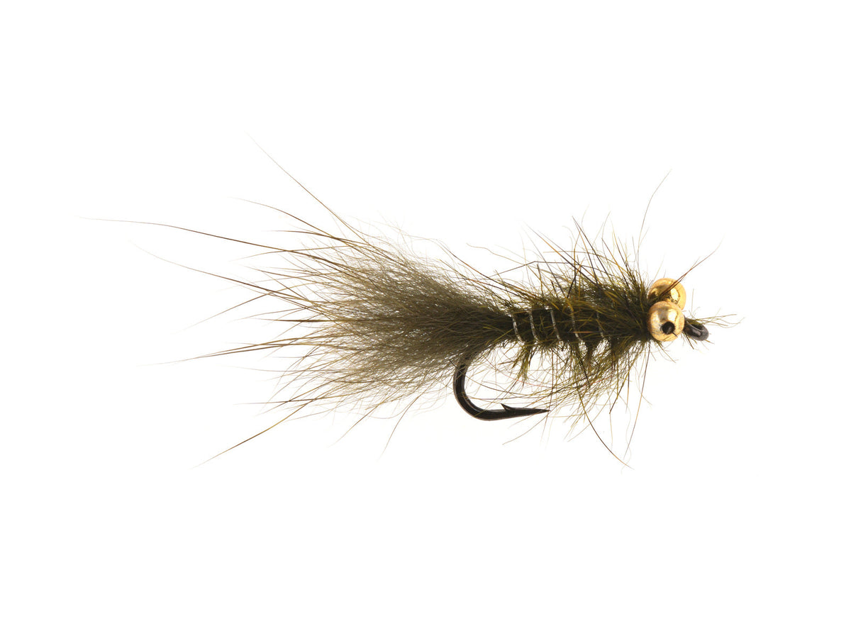 XY114B Olive