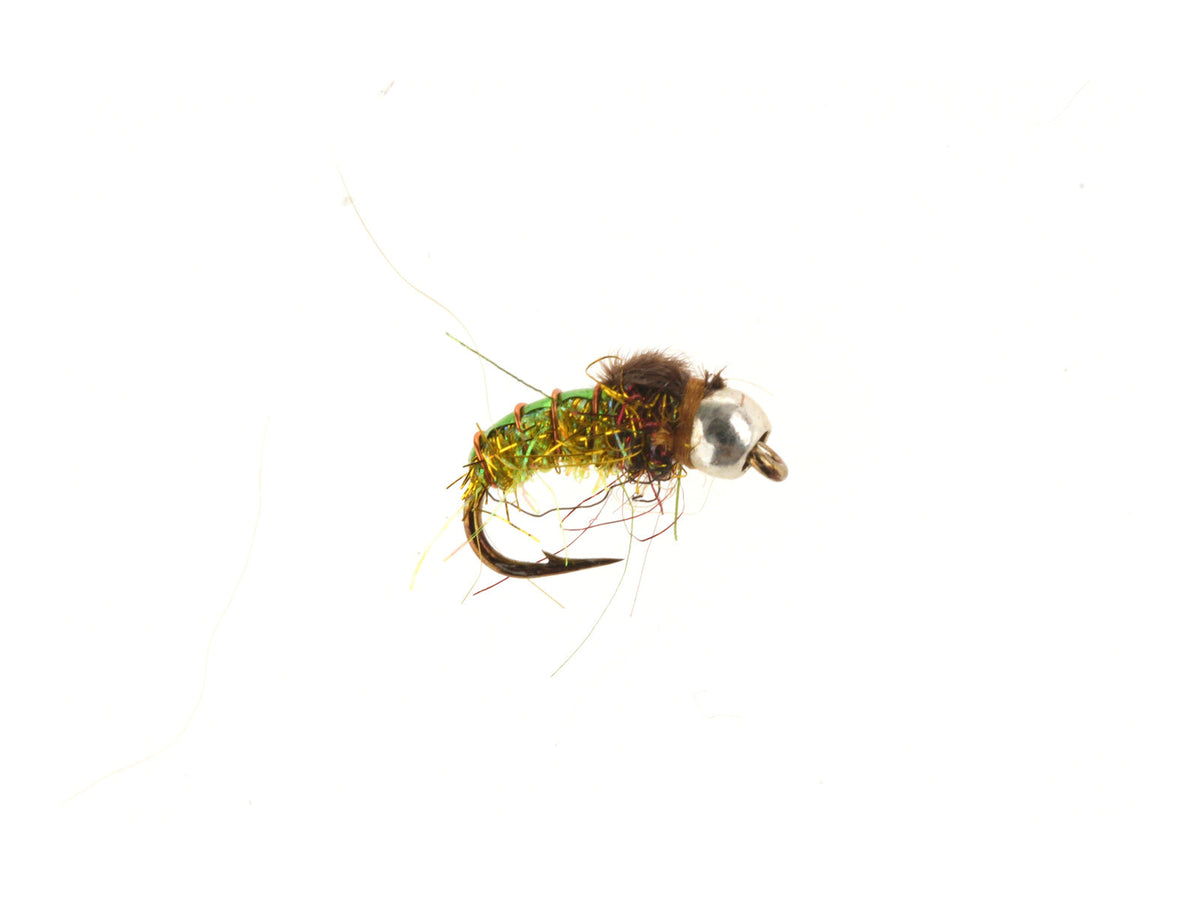 XY169B Green