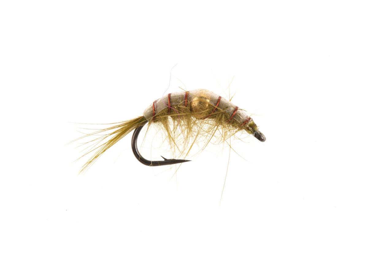 WY587A Olive