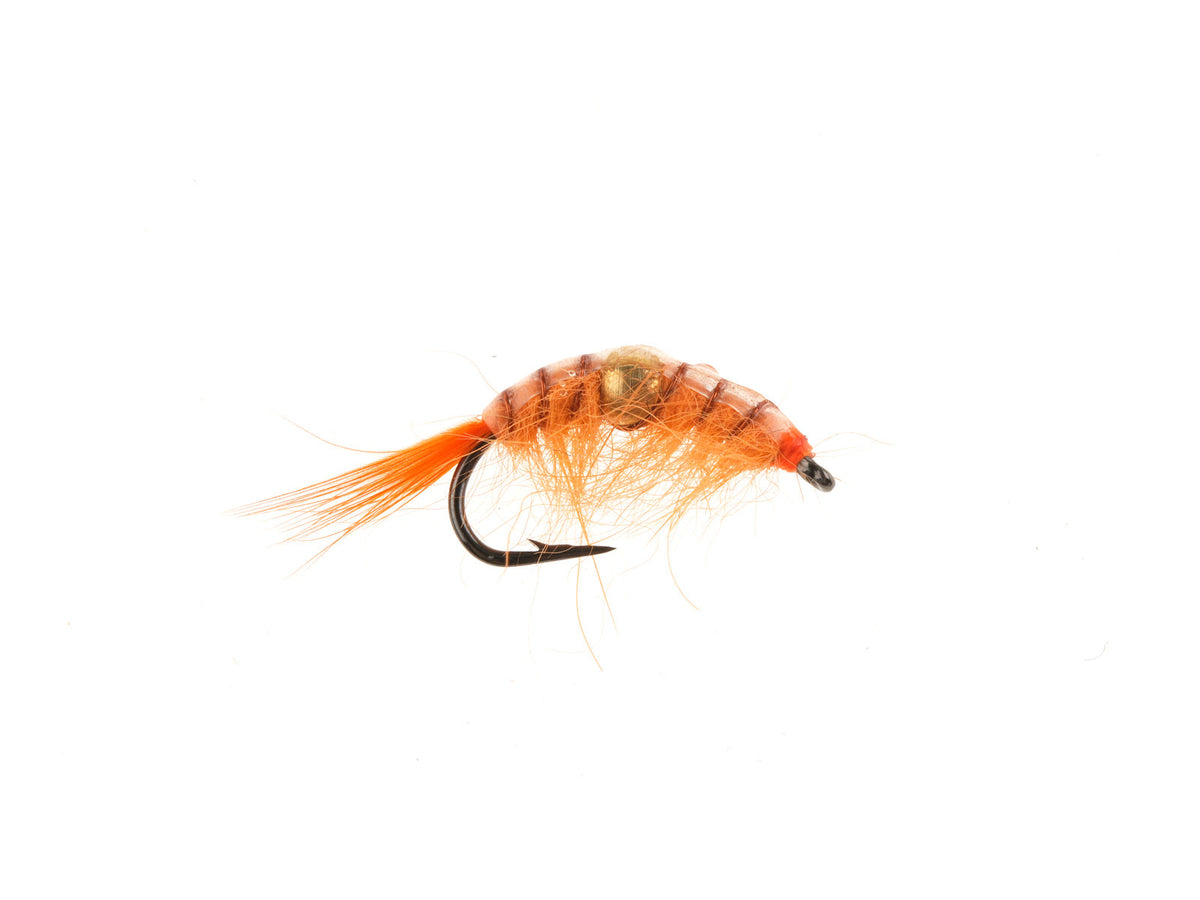 WY587B Orange