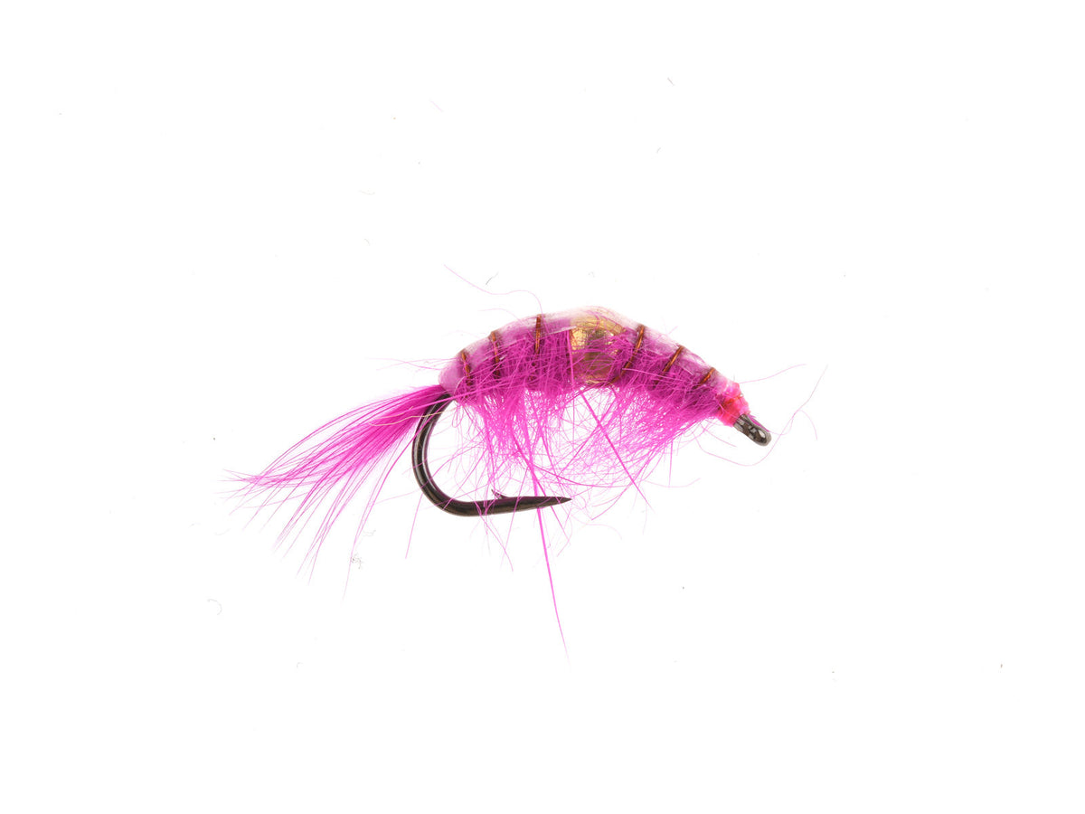 WY587C Pink