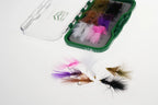 WIFREO Woolly Bugger streamer flies arranged beside the open fly box
