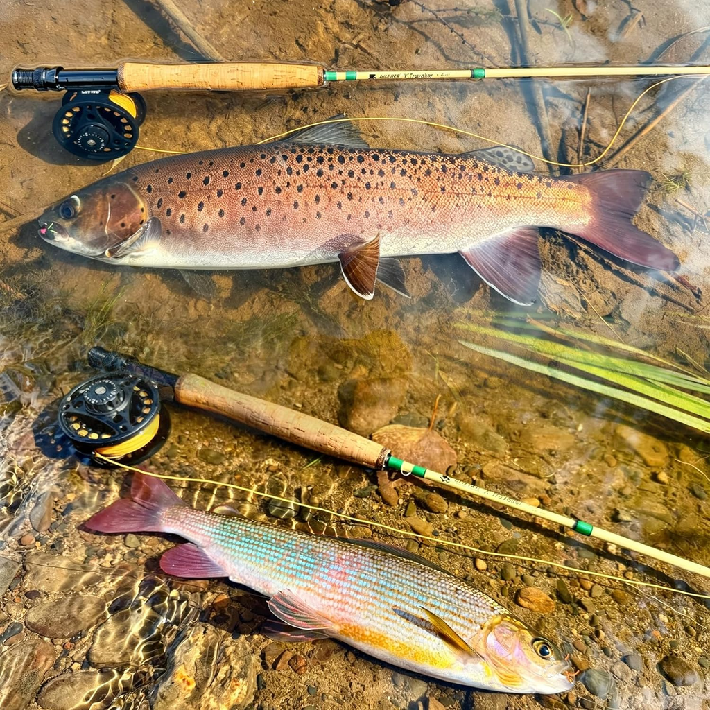 Wifreo X'Traveller fly rod used on the water; reel and line shown are not included